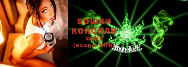 2c-b Бородино